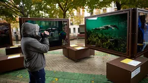 El Gobierno renueva el Consejo Navarro de Cultura y Artes con 20 asesores