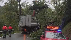 El fuerte viento en Navarra vuelca cinco camiones, amenaza con derribar grúas y corta numerosas carreteras