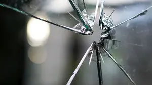 Disparos de madrugada: alertan en Tudela de que un vecino le había roto una ventana a tiros