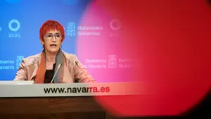El tiempo y la flexibilizaci&oacute;n de las medidas tienen la 'culpa' del repunte de casos en Navarra, seg&uacute;n Indur&aacute;in