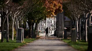 ¿Qué cambios quieres? El ayuntamiento consulta a los pamploneses la nueva organización del cementerio