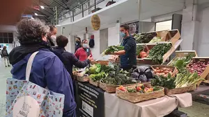 Vuelve el EKOmercado a Pamplona en septiembre con el tomate como protagonista