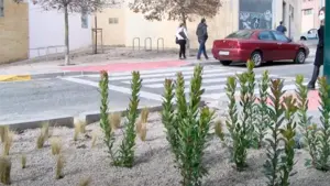 Pamplona estrena un nuevo paso de peatones 'verde': así es la revolucionaria y ecologista idea municipal