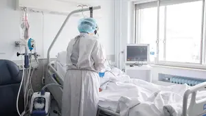 La presión hospitalaria se 'estanca' en Navarra mientras sigue el reguero de muertos diarios por Covid-19