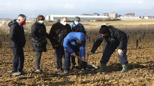 ANFAS planta manzanos para luchar contra el cambio climático en los terrenos de una universidad navarra