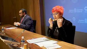 "Muy lejos de escenarios de riesgos aceptables": el Gobierno de Navarra quiere mantener la alerta