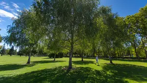 Un 'educativo' parque de Navarra se cuela entre los diez espacios verdes locales favoritos del mundo