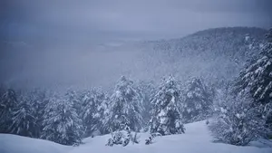 La nieve 'sorprende' a Navarra con una bajada de la cota hasta los 500 metros