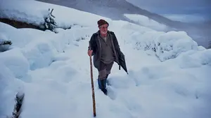 El reto del ganadero navarro que da de comer a su rebaño de ovejas a 1.200 metros de altitud