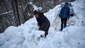 Javier, el ganadero navarro que desafía cada día a la nieve para alimentar a sus ovejas en el valle de Roncal