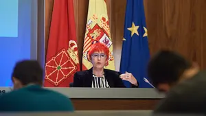 Indur&aacute;in advierte de una posible "tercera ola intensa" y recuerda que Navarra sigue en situaci&oacute;n de "riesgo alto"