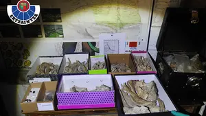 Investigado un vecino de Ziordia por expoliar unas 20.000 piezas de cuevas y yacimientos arqueológicos