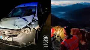 Madrugada de accidentes en Navarra: ocho coches chocan contra varios animales, uno de ellos una yegua