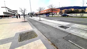 Reverdecer las calles de Pamplona: se plantarán árboles en los alcorques vacíos de la ciudad