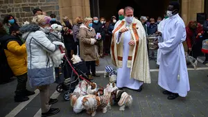Pamplona celebra el día de San Antón a pesar del Covid: bendecidos perros, canarios y hasta un conejo