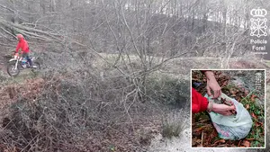 Investigan a dos vecinos de Esteríbar por capturar 52 ranas bermejas en una zona de especial conservación