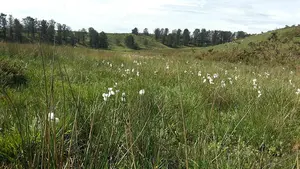 Bosques con cuentos y de cuento en Baztán-Bidasoa para mejorar la salud