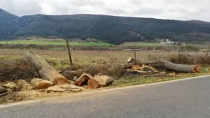 Exigen al Gobierno de Navarra que "respete" la vegetación junto a las carreteras de la Comunidad foral