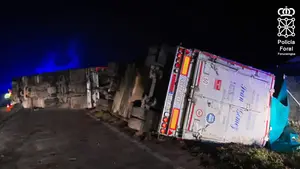 Varios terneros muertos y otros huidos en un accidente de un camión que transportaba ganado vivo en Lodosa