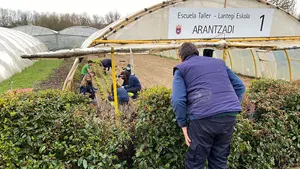 La Escuela Taller de Horticultura y jardinería realiza labores prácticas como el cuidado del parque de Aranzadi