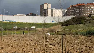 Pamplona ya cuenta con una nueva zona de paseo natural en otro de sus barrios