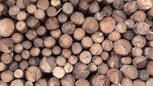 Un trabajador sufre heridas graves en la mano en una serrería de Lesaca