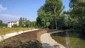 Huarte tendrá un nuevo bosque: será el primer sumidero de CO2 de Navarra