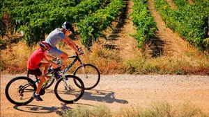 La Ribera apuesta por la bicicleta como el medio de transporte prioritario