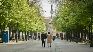 Los positivos, ocupación hospitalaria y camas UCI siguen en descenso en Navarra
