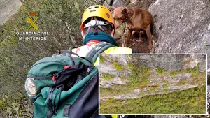 Al rescate de Canela, una perra enriscada durante dos días en la Foz de Lumbier