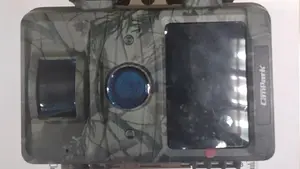 Detenidos dos jóvenes por robar una caja fuerte de un gimnasio y una cámara