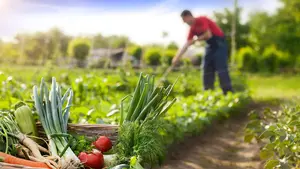 Los microcréditos de CaixaBank contribuyen a la creación de 84 puestos de trabajo en Navarra