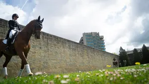 La organización del premio de hípica de Pamplona niega cualquier vinculación política
