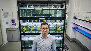 Ikan Biotech, la empresa navarra que lucha contra el cáncer con peces cebra