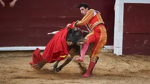 El feliz debut vestido de luces del pamplonés Nabil 'El Moro' en Navarra: las fotos del festejo en Estella