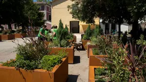 Estudiantes de jardinería preparan 30 macetas nuevas para sustituir las de Carlos III