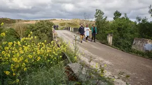 Navarra licita las obras para arreglar el puente medieval para acceder a la villa romana de Andelos