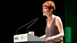 Bildu, sobre los Presupuestos: "Es irrelevante lo que pueda decir Navarra Suma"