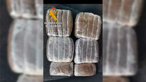 Tres detenidos en Olite por transportar 2 kilogramos de hachís en el coche