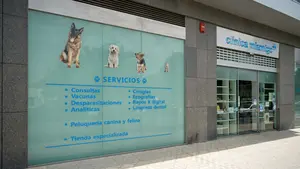 La cariñosa despedida de una clínica veterinaria de Pamplona después de 13 años de trabajo