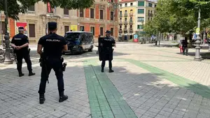 La polic&iacute;a aumenta los controles para evitar atentados terroristas durante los 'no Sanfermines'
