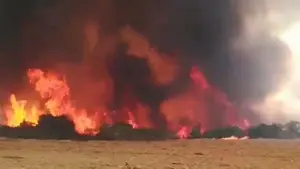 El calor y el viento reavivan el incendio que ha arrasado ya un tercio del Vedado de Eguaras