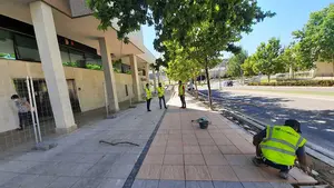 Tudela ultima el tramo de tierra que existe a la altura de la rotonda Merindad de Pamplona