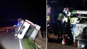 Vuelca un camión en Ollacarizqueta cargado con cuatro caballos: dos de ellos se fugan