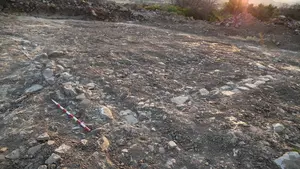 Aparecen restos arqueológicos en las obras del Tren de Alta Velocidad de Tafalla