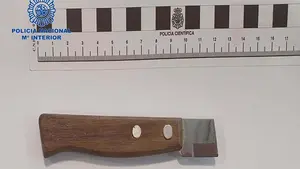 Destroza un coche policial y agrede a tres agentes tras ser detenido en una pelea en Pamplona