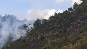 Un incendio quema tres hect&aacute;reas de monte bajo en Jaunsar&aacute;s