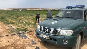 Investigado por robar m&aacute;s de 1.500 kilos de hortalizas de una explotaci&oacute;n agr&iacute;cola en Estella