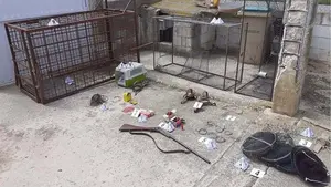 Incautan en la Zona Media numerosos métodos ilegales para la captura de animales