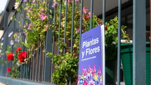 'Plantas y flores', el libro navarro que ayuda a recordar a las personas con Alzheimer